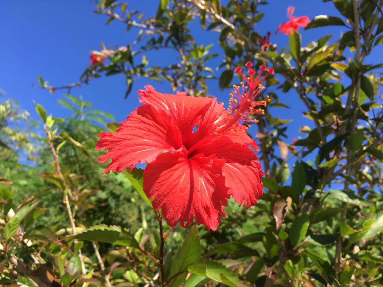 Ishigaki  Yoisama Sunrise Beach House מראה חיצוני תמונה
